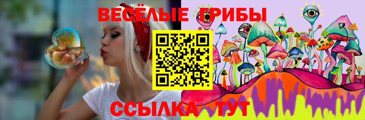 Жуковский  Псилоцибиновые грибы MAGIC MUSHROOMS  Галлюциногенные грибы Cubensis  Вход с VPN 
